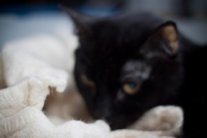 BlankieTime